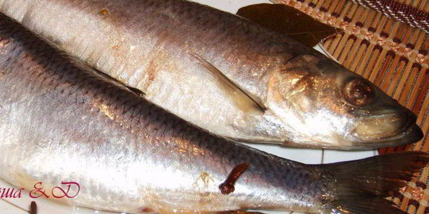 Рецепт сельди домашнего посола