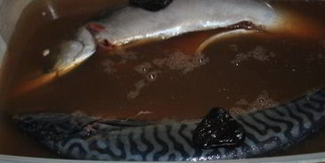 соленая скумбрия с черносливом