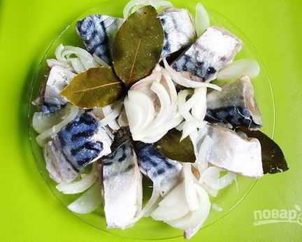 Соленая скумбрия в рассоле