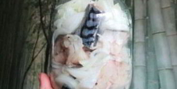 соленая скумбрия в рассоле