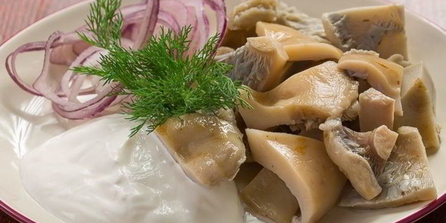 Рецепт соленых грибов со сметаной