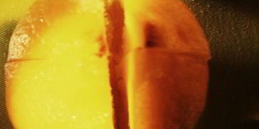 соленые лимоны