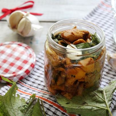 Соленые лисички на зиму