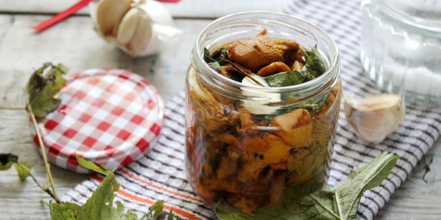 Рецепт соленых лисичек на зиму