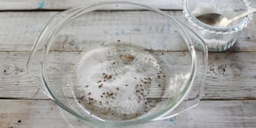 соленые лисички на зиму