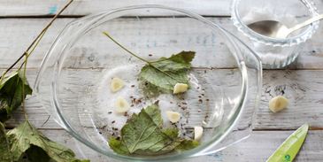 соленые лисички на зиму