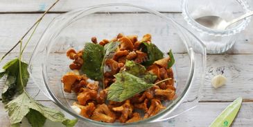 соленые лисички на зиму