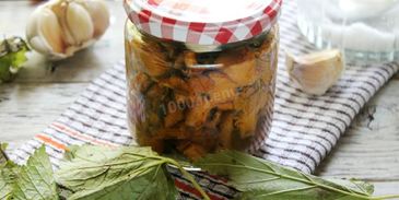 соленые лисички на зиму