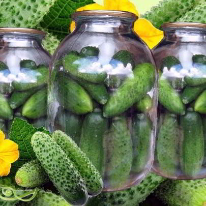 Свежие огурцы на зиму