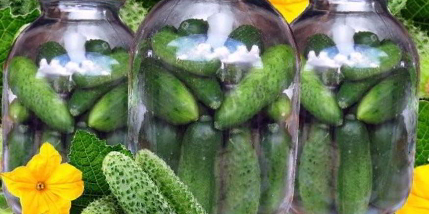 Рецепт свежих огурцов на зиму