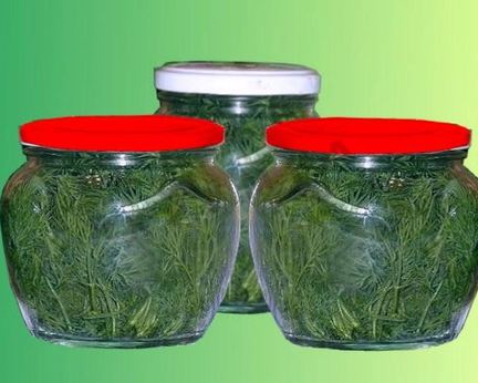 Свежий укроп в банках