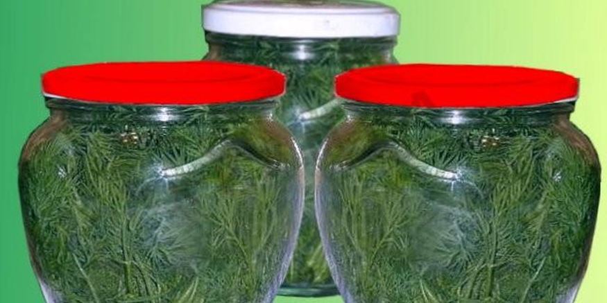 Рецепт свежего укропа в банках