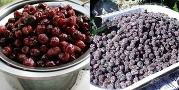 киевское сухое варенье