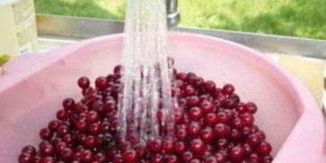 варенье из черемухи через мясорубку