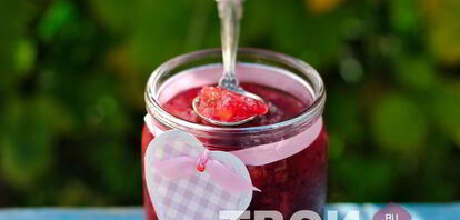 Рецепты варенья из крыжовника