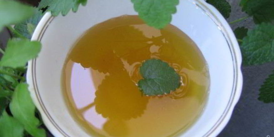 Рецепт варенья из мяты