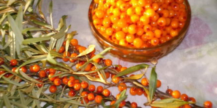 Рецепт варенья из облепихи замороженной