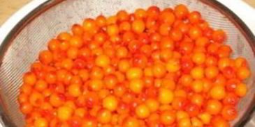 варенье из облепихи замороженной