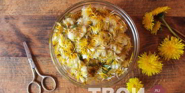 варенье из одуванчиков