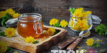 варенье из одуванчиков