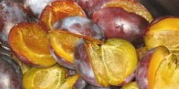 варенье из слив быстро