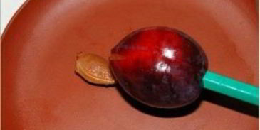 варенье из слив в духовке