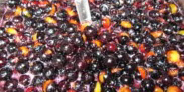 варенье из терна