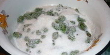 варенье из зеленых сосновых шишек