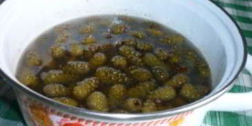 варенье из зеленых сосновых шишек