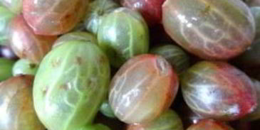 варенье по-царски из крыжовника