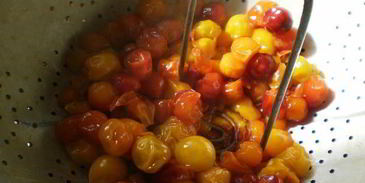 желе из алычи на зиму