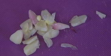 брускетта с белыми грибами, чили и розмарином