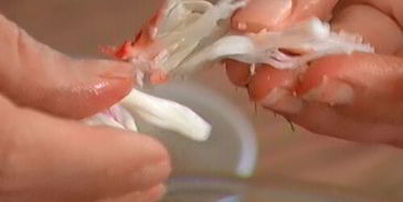 брускетта с крабами