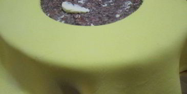 бисквитный торт гамбургер