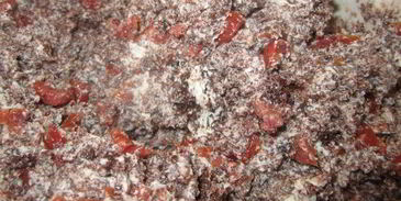 бисквитный торт гамбургер