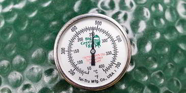 бургер-гриль с сочным баклажаном