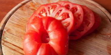 гамбургеры с плавленным сулугуни и хрустящим луком