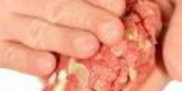 самые вкусные гамбургеры