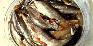 бутерброд килька, картошка, киви