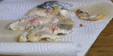 бутерброд с белой рыбой и соусом из йогурта и каперсов