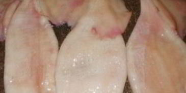 фаршированный кальмар с рисом и яйцом