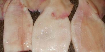 фаршированные кальмары с рисом и яйцом