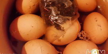 фаршированные яйца с тунцом