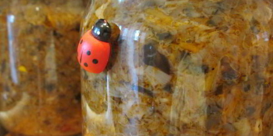 Рецепт икры грибной