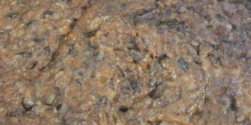 икра грибная