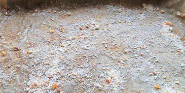 канапе из спагетти