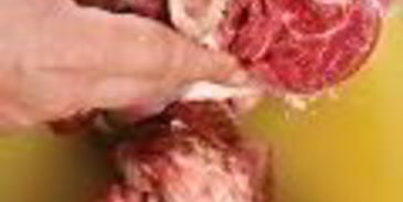 холодец гояжьей рульки и копыта