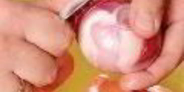 холодец гояжьей рульки и копыта