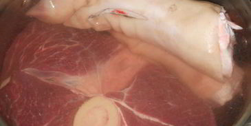 холодец из говядины