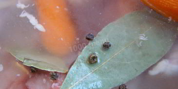 холодец из курицы в мультиварке